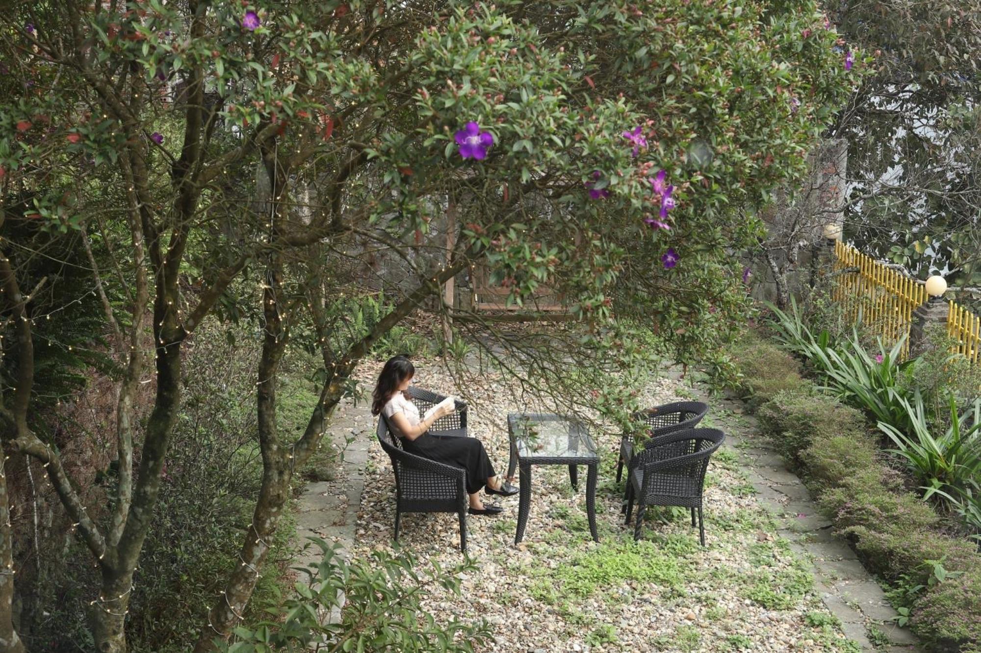 May Villa Tam Dao Hanoi Dış mekan fotoğraf